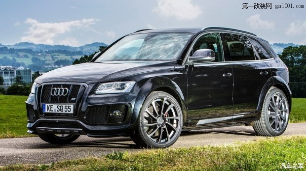 奧迪(進(jìn)口) 奧迪SQ5 2013款 3.0TDI 基本型
