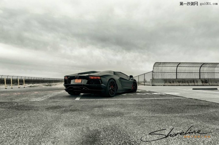 matte-lamborghini-aventador-roadster-8.jpg