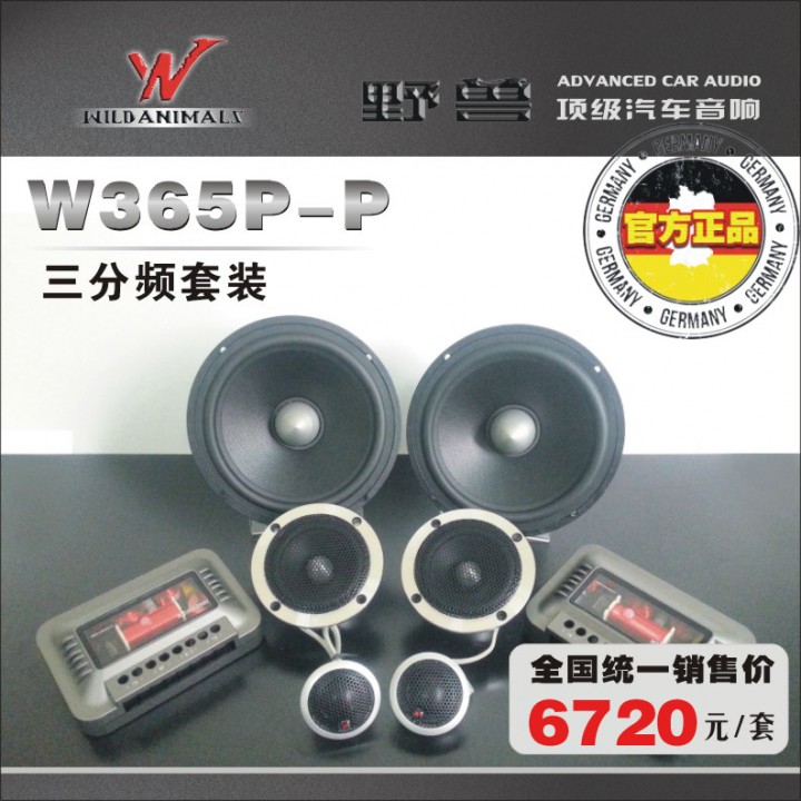 W365P-P.jpg
