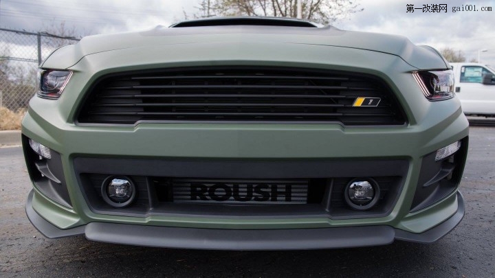 Roush-Mustang-10.jpg