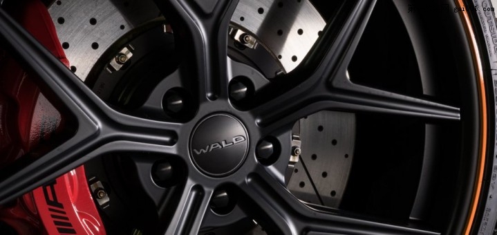 Wald-Black-Bison-Mercedes-AMG-GT-5.jpg