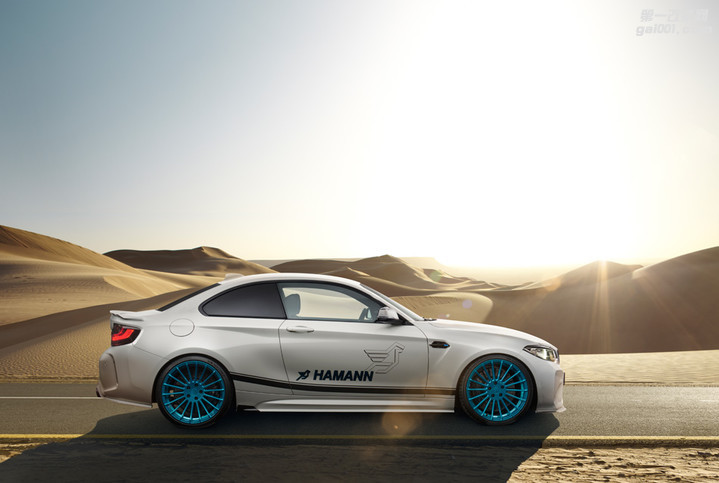 Hamann-BMW-M2-3.jpg