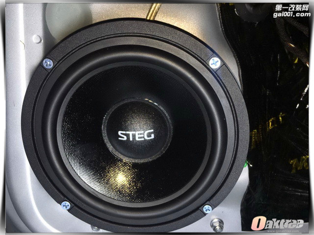 8 后声场STEG史太格ST 650C中低音喇叭近照.jpg