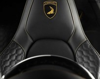 TOPCAR保時(shí)捷911 Stinger GTR碳素版