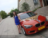 寶馬拉鏈?zhǔn)奖y控