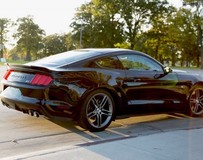 2015 Roush野馬 炫酷無法擋