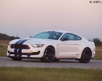 Hennessey改裝福特野馬Shelby GT350
