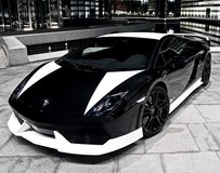 黑白配GT600—BF-PERFORMANCE打造Gallardo LP560-4