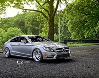 D2Forged改裝奔馳CLS-550 FMS08圖片欣賞