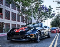 GoldRush Rally 7排名前15位最熱門汽車