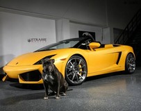 Strasse Wheels改裝Giallo Midas蘭博基尼Gallardo Spyder