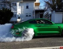 All Out Performance改裝2015年福特野馬 性能增壓