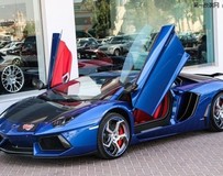 獨特的MANSORY蘭博基尼Aventador掛牌出售