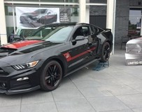 Roush Warrior T/C軍事野馬特別版